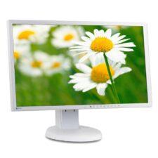 EIZO FlexScan EV2316W 23” FHD Monitor Pofesional, 60Hz, DVI/VGA/DisplayPort